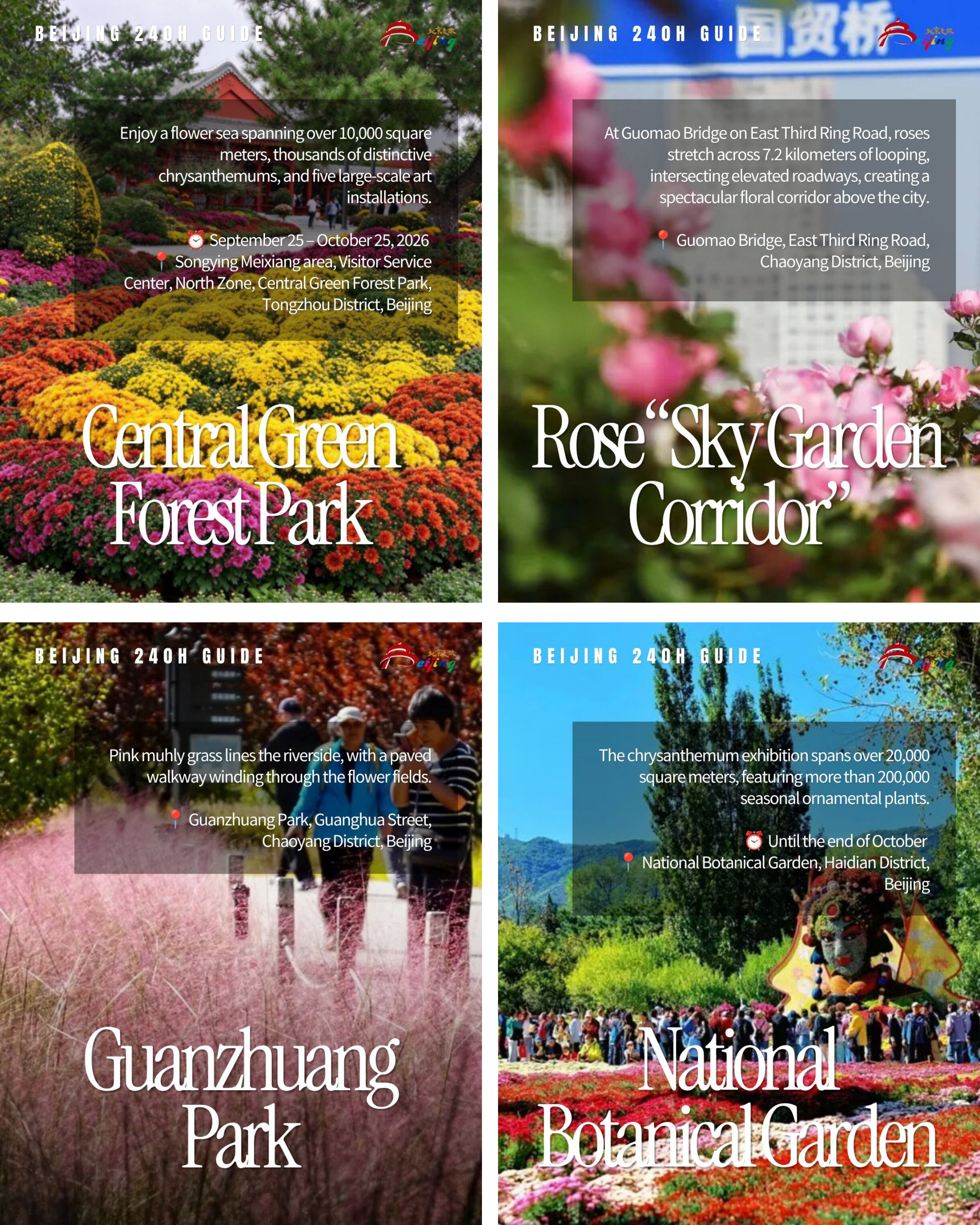 99d75f4c-b17d-452e-ad3f-d4ab5cccca98.png 组3.png