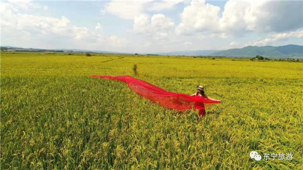 Autumn season in Dongning, colorful autumn scenery
