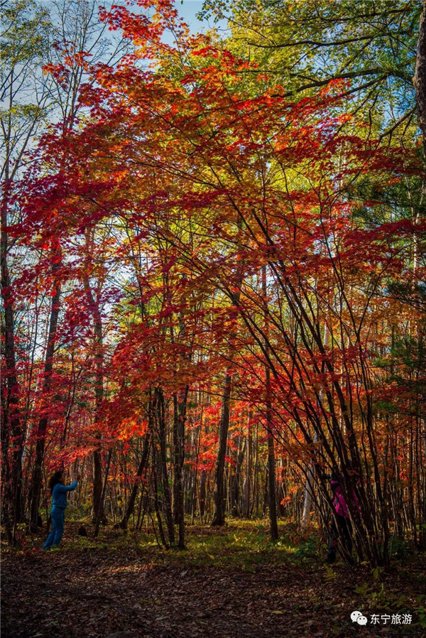 Autumn season in Dongning, colorful autumn scenery