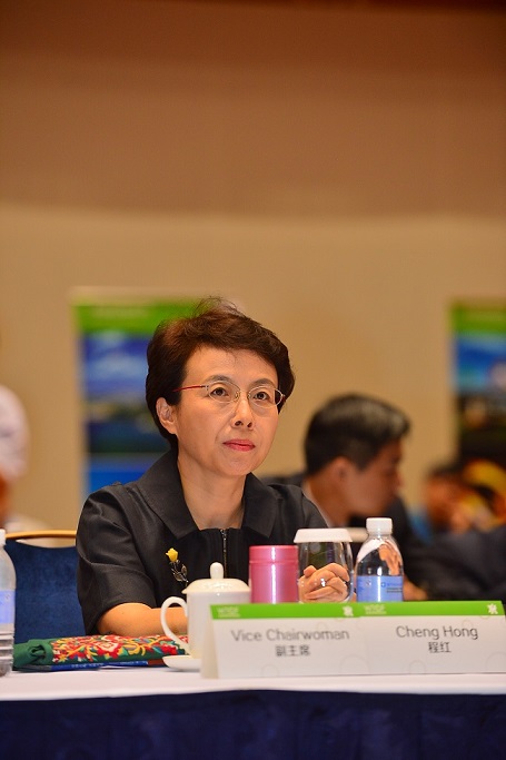 【Summit Senior Figures Interview】Interview with Cheng Hong, Executive Deputy Chairperson of the WTCF Council and Vice Mayor of Beijing
