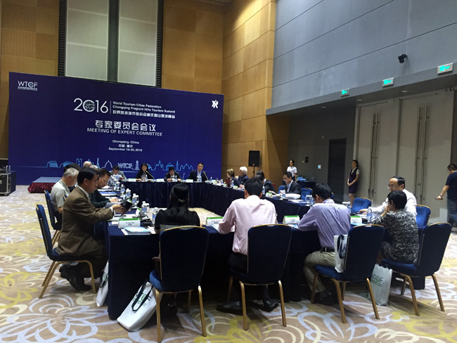 The Annual Meeting of the Expert Committee Held During the Summit