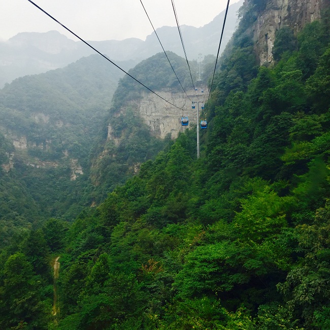 Walking into Wulong - Natural Heritage Route After the Summit