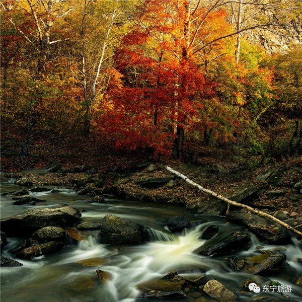 Autumn season in Dongning, colorful autumn scenery