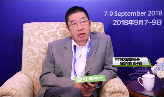 An interview with Wei Xiaoan, Chief Expert of WTCF Expert Committee