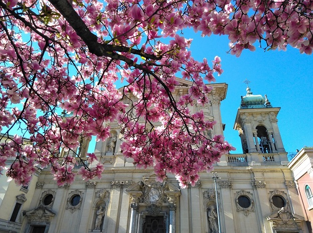 Springtime Blossoms in Milan Springtime Blossoms in Milan_fororder_20220322102154690