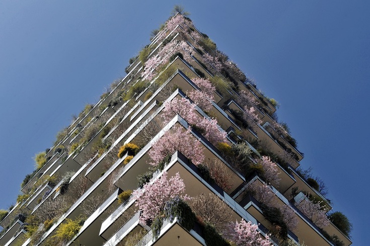 Springtime Blossoms in Milan Springtime Blossoms in Milan_fororder_Bosco Verticale